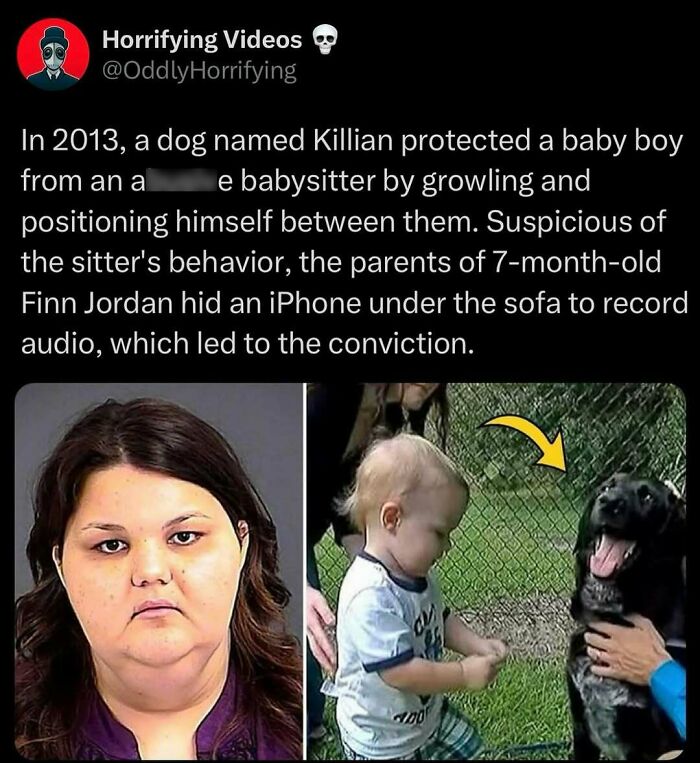 Mugshot of a woman beside an unnerving image of a toddler with a dog after a disturbing event.