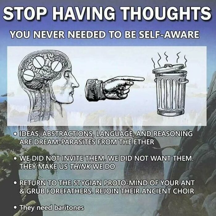 Philosophy meme showing a brain and a pointing hand towards a trash can with existential text.