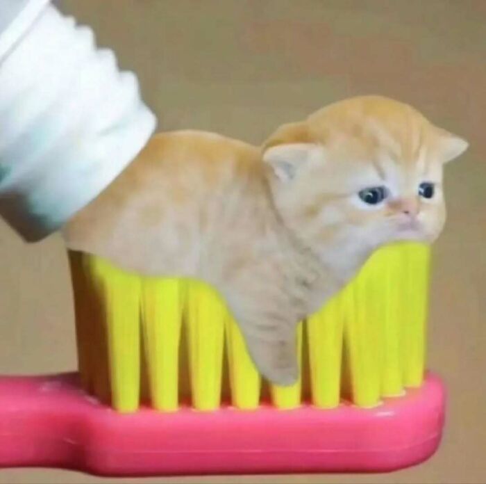 Cute cat shaped like a toothpaste being squeezed onto a toothbrush for comic effect.