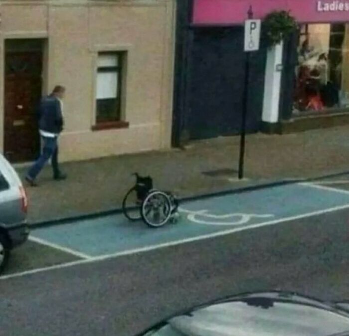 Wheelchair parked in a disabled spot beside a sidewalk, illustrating challenging posts on social media.