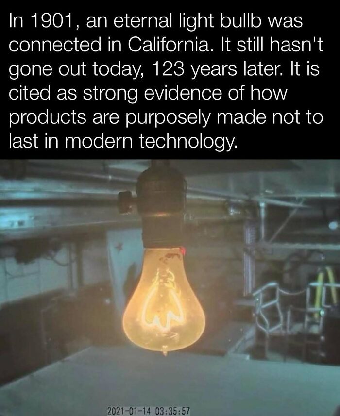 Eternal light bulb from 1901 still glowing, showcasing historical evidence of planned obsolescence in technology.