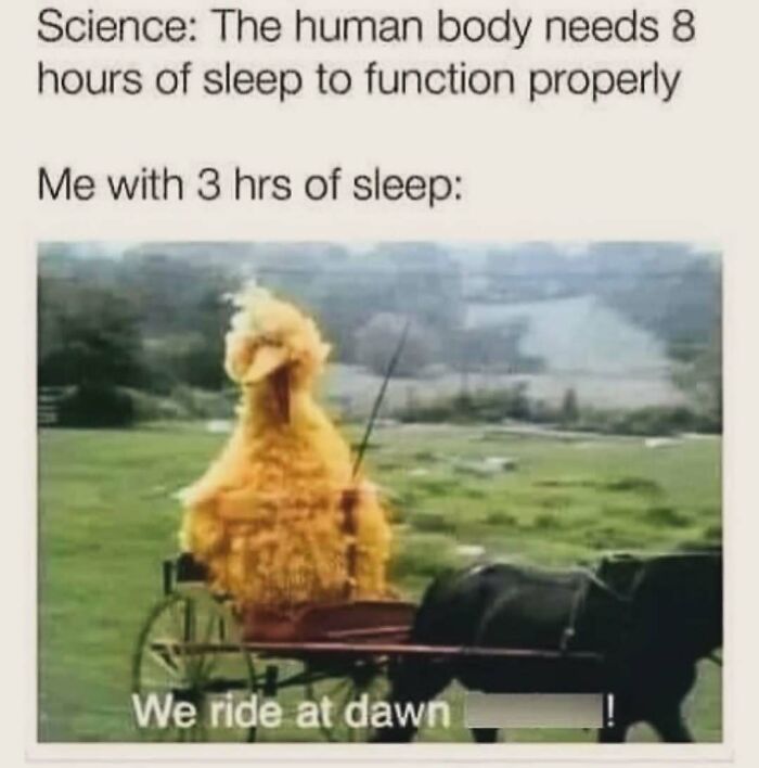 Funny meme of a giant yellow bird on a carriage, captioned about functioning with only 3 hours of sleep.