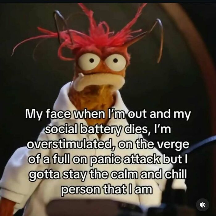 Funny meme of a puppet with wild hair, wide eyes, and text about social battery and staying calm despite over-stimulation.