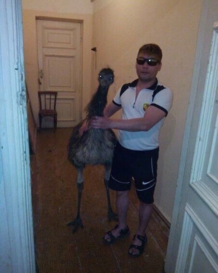 Man standing in hallway with an emu, wearing sunglasses and a sporty outfit, showcasing one of the hardest posts.