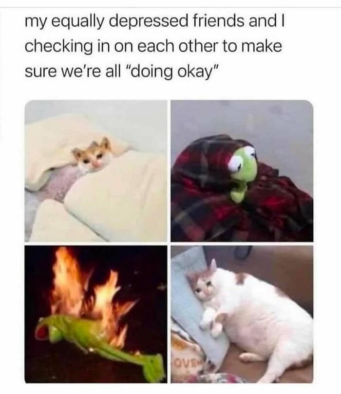 Funny meme collage with animals and toys in blankets, a burning toy, and a relaxed cat, capturing humorous friendship vibes.