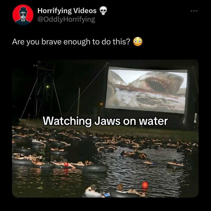 People floating in tubes on water, watching a shark scene from "Jaws" on an outdoor screen. Unnerving outdoor movie experience.