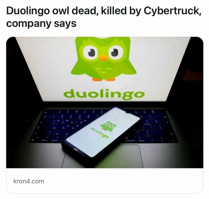 Duolingo owl logo on laptop and phone screens, related to fake headlines.