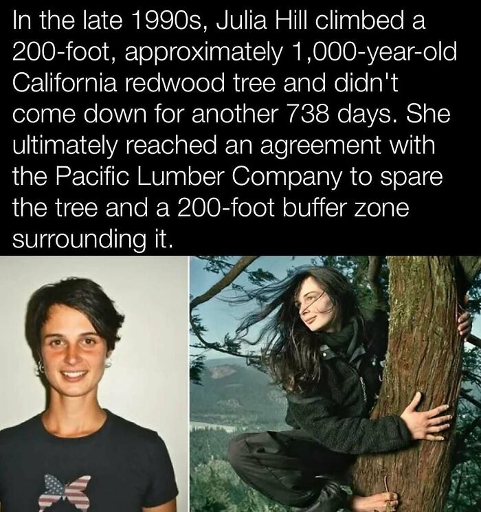 Young woman in the 1990s, known for living in a redwood tree to save it, an interesting history moment.
