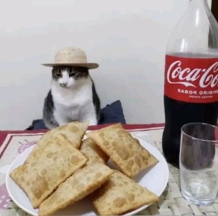 Cat wearing a straw hat sits by a plate of pastries and a bottle of Coca-Cola, bringing smiles to viewers.
