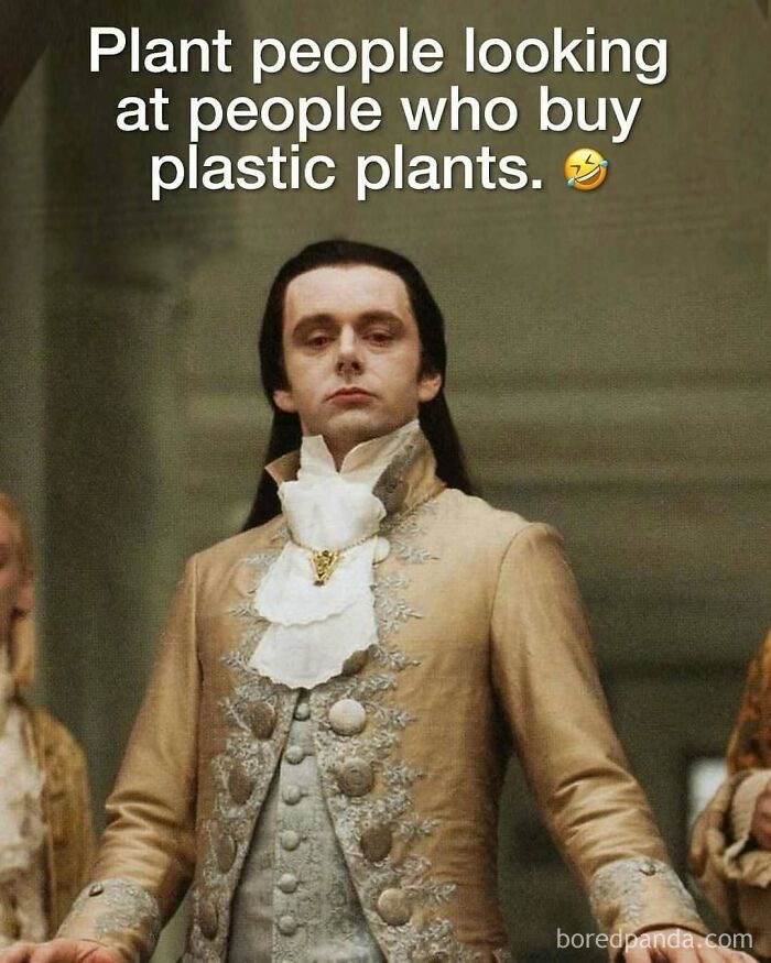 Person in historical costume with a smug expression, captioned about plant owners and plastic plants.
