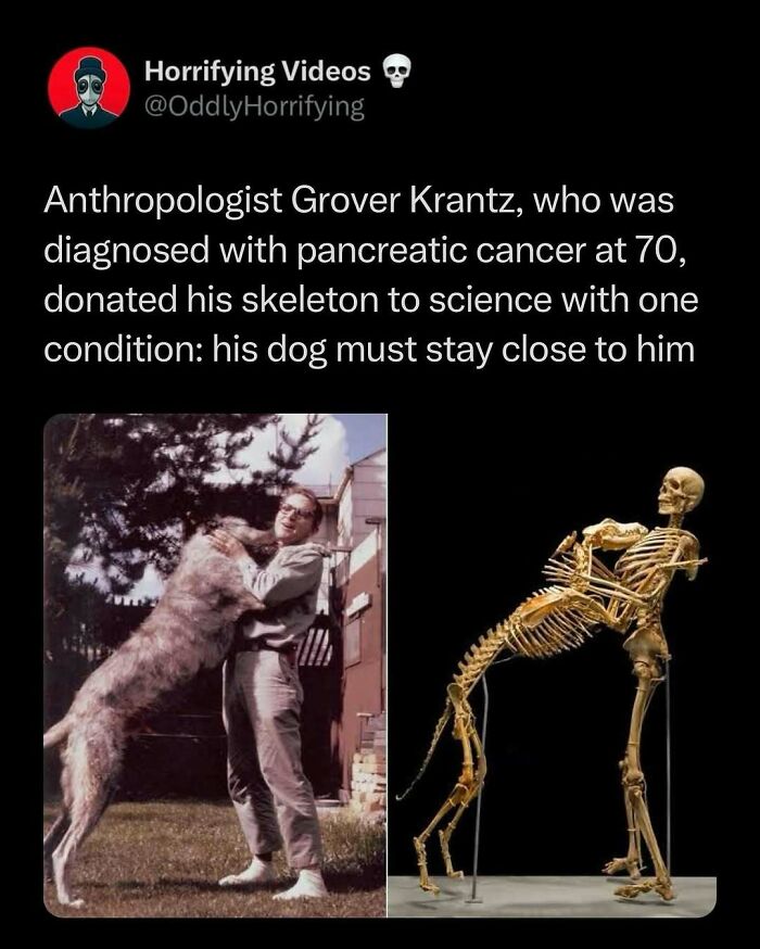 Man with dog juxtaposed with unnerving skeleton display, depicting a unique wish fulfilled in science.