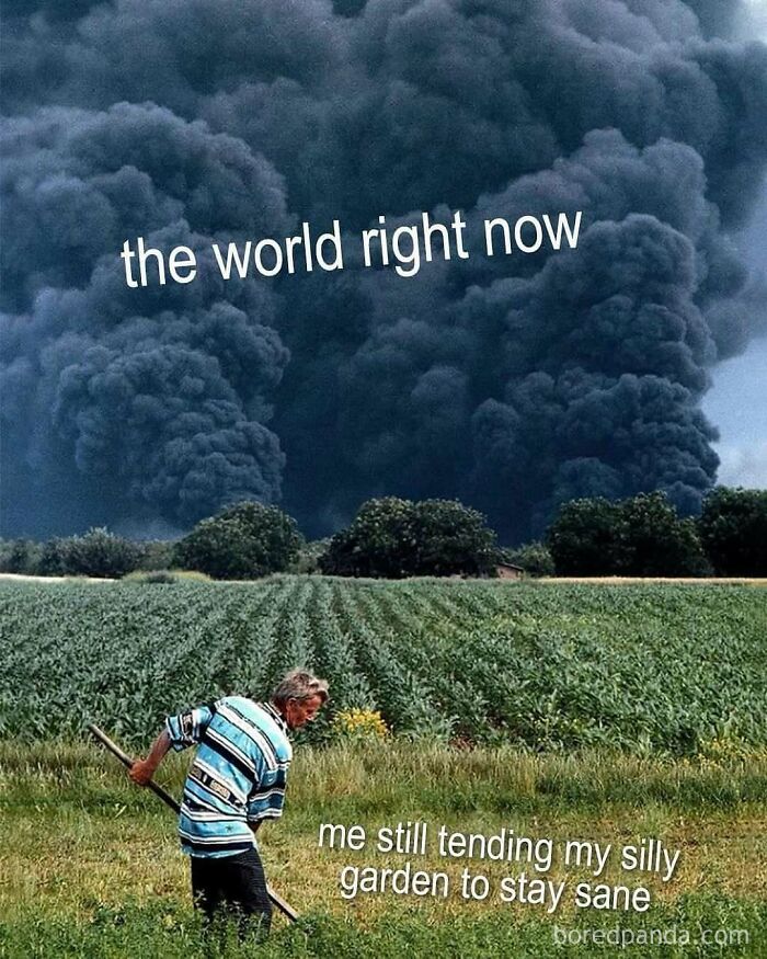 Man gardening calmly with stormy clouds in the background, capturing the humor and resilience of plant owners.