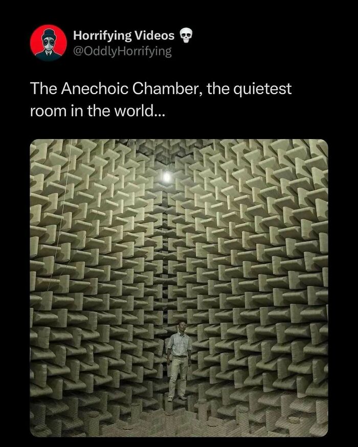 Person standing in the eerie Anechoic Chamber, surrounded by soundproof panels, under dim lighting.