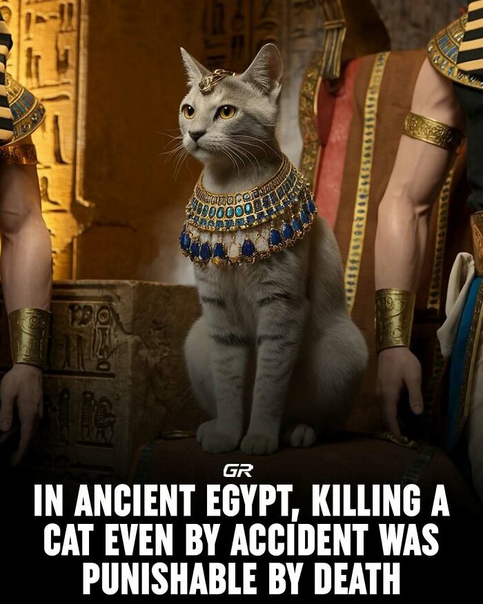 Cat adorned in jewels in ancient Egyptian setting, highlighting interesting facts.