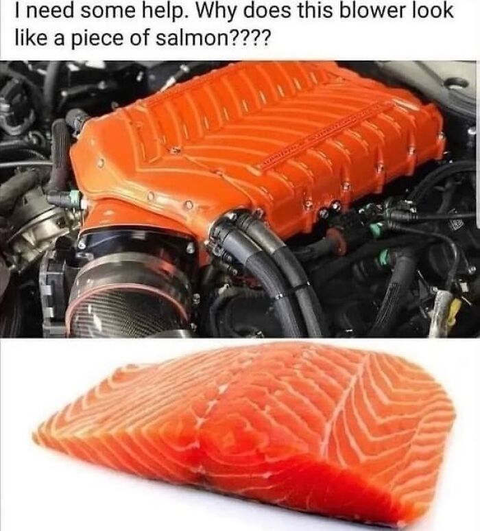 Engine part humorously compared to a piece of salmon in a car meme.