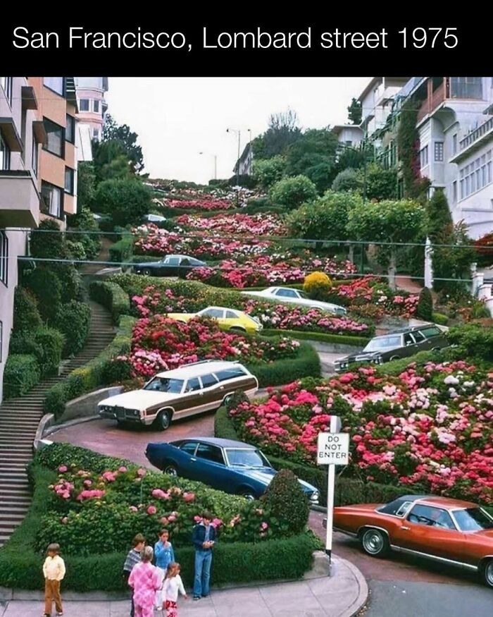 Historic Lombard Street in San Francisco, 1975, with classic cars and vibrant flowers lining the winding road.