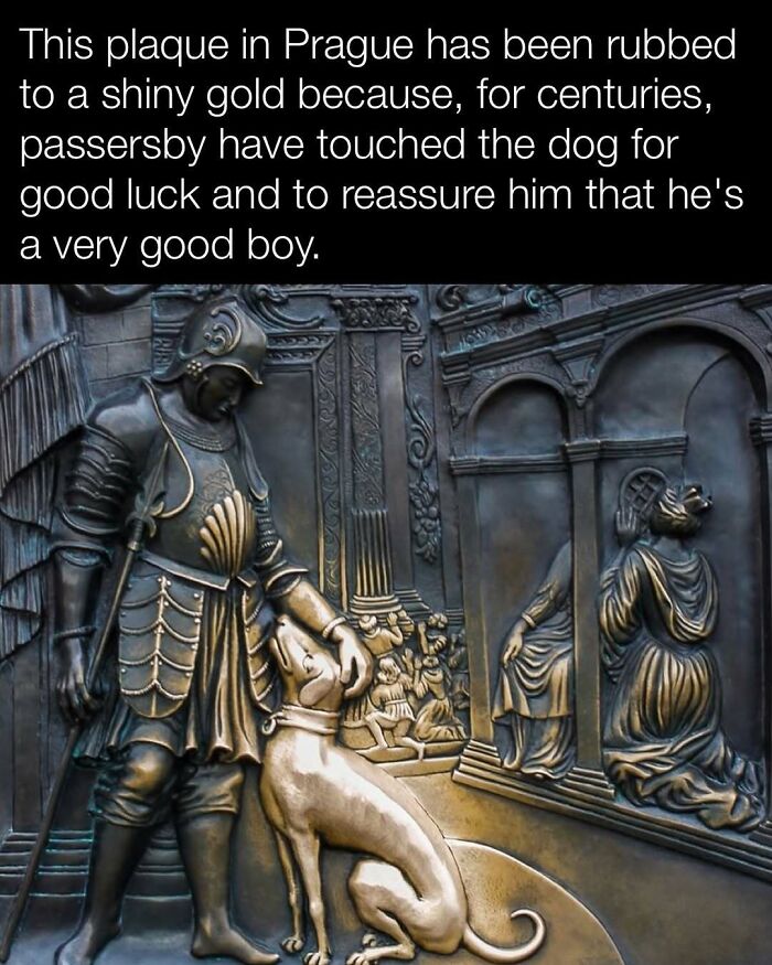 Plaque in Prague showing a knight petting a dog, polished gold from touch, signifies luck in history.