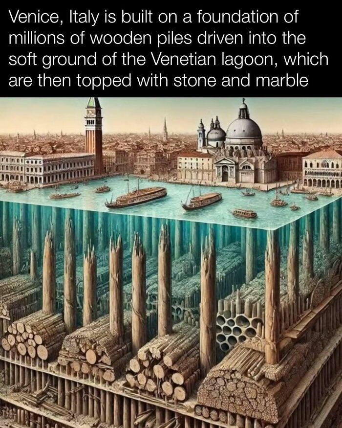 Illustration showing Venice's foundation on wooden piles beneath stone and marble, highlighting interesting history.