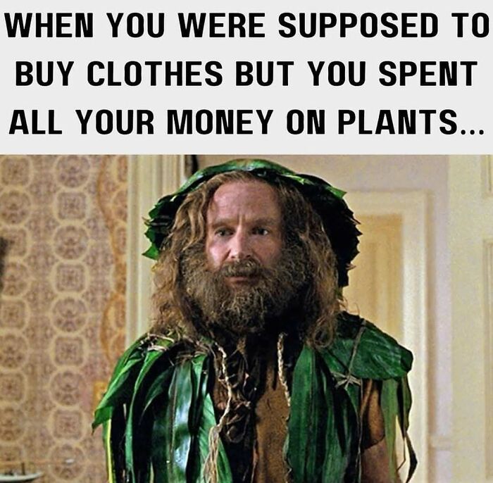 Man covered in leaves, caption: spending money on plants instead of clothes, humorous plant owner meme.