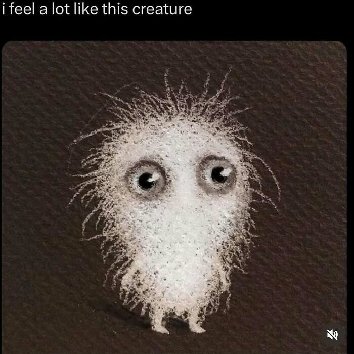 Cute fluffy creature with wide eyes, embodying the humor of funny memes.