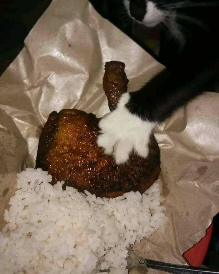 A cat's paw playfully grabbing a piece of chicken next to rice on brown paper.