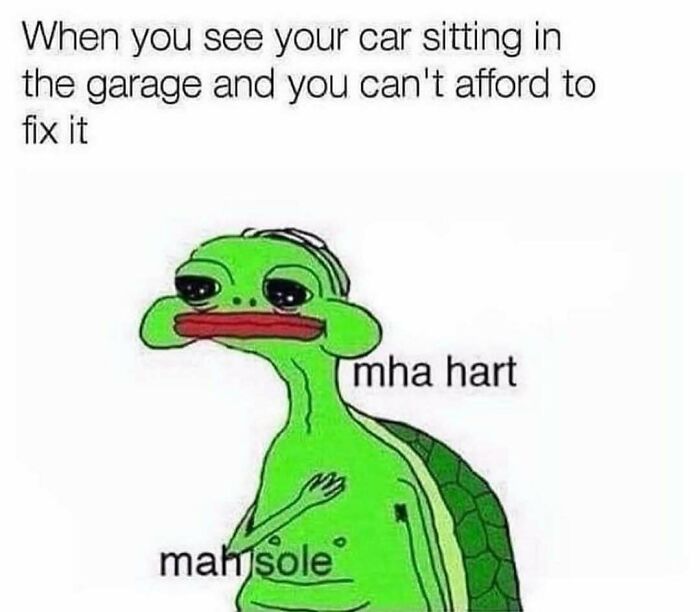 Sad frog meme about car repairs; depicts feelings when a car is broken and unaffordable to fix.