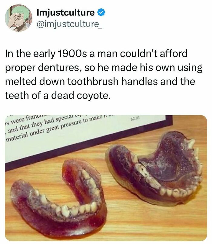 Homemade dentures from early 1900s using toothbrush handles and coyote teeth; an unusual fact to share with family.