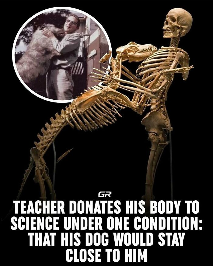 Skeleton posed with a dog's skeleton, illustrating a unique fact about a teacher's donation to science.