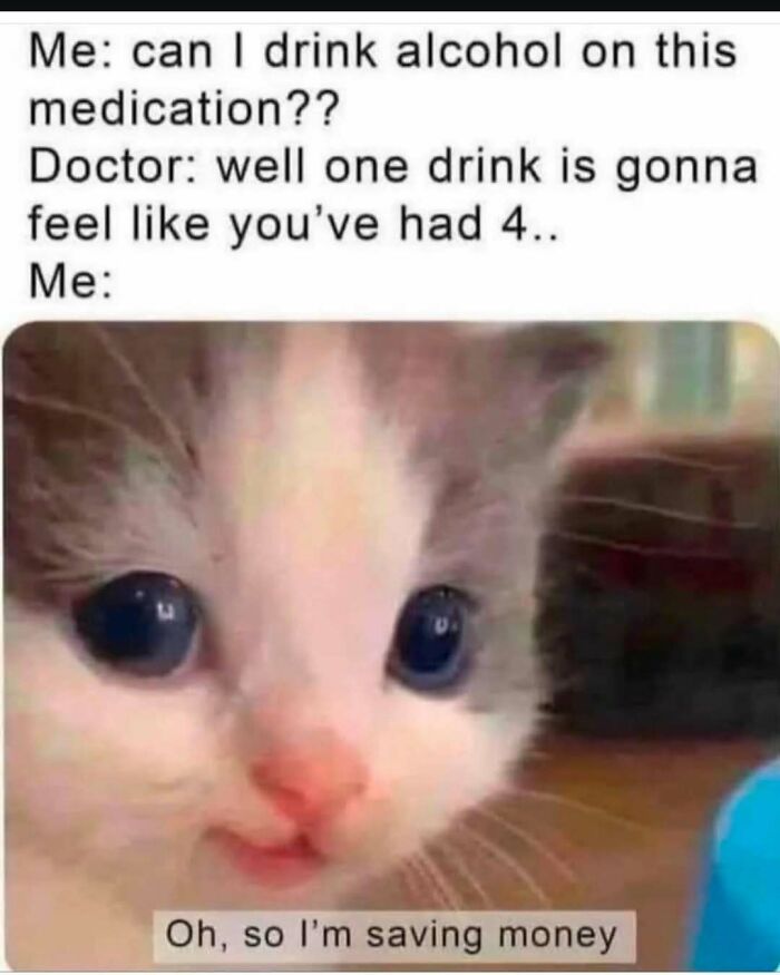 Cute kitten meme with funny caption about drinking on medication, highlighting humorous reaction to doctor’s advice.