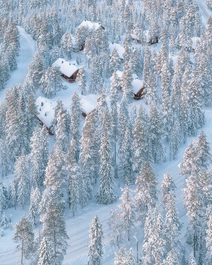 Aerial image of snow-covered trees and cabins in a winter forest showcasing the world from a new perspective.