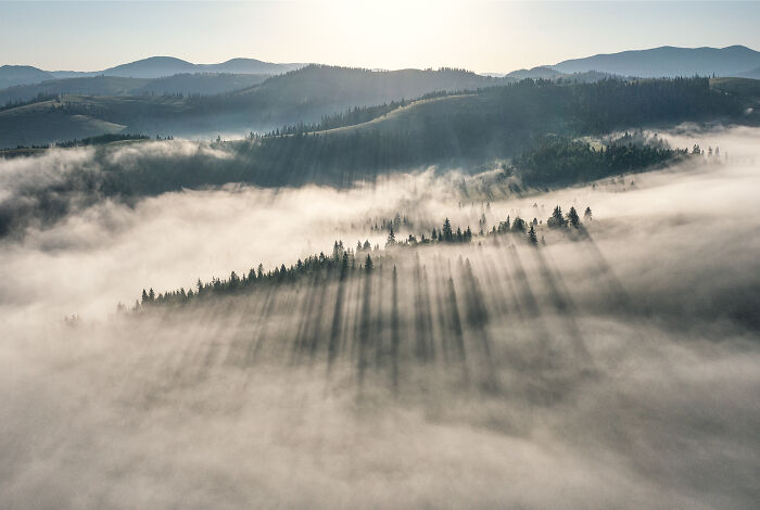 Aerial image of fog-covered forest and mountains with shadows stretching across the landscape, showcasing the world from above.