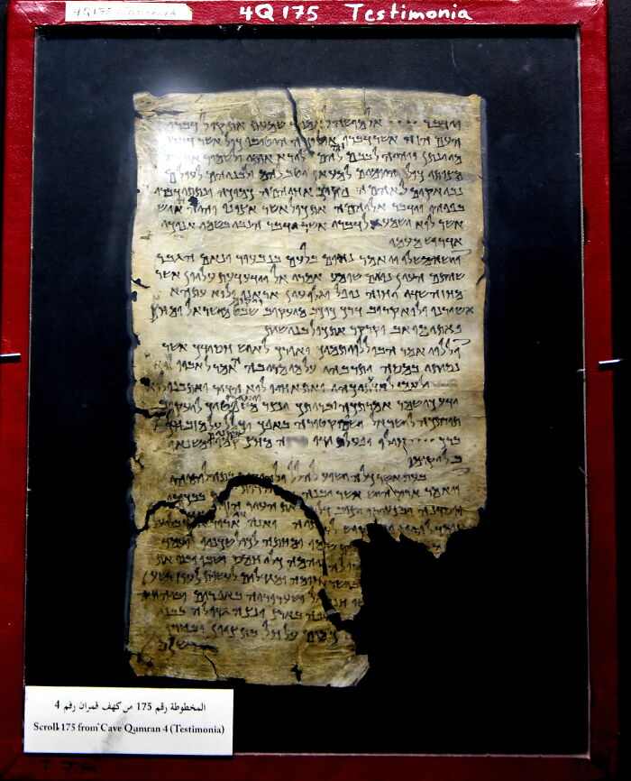 Sea Scroll