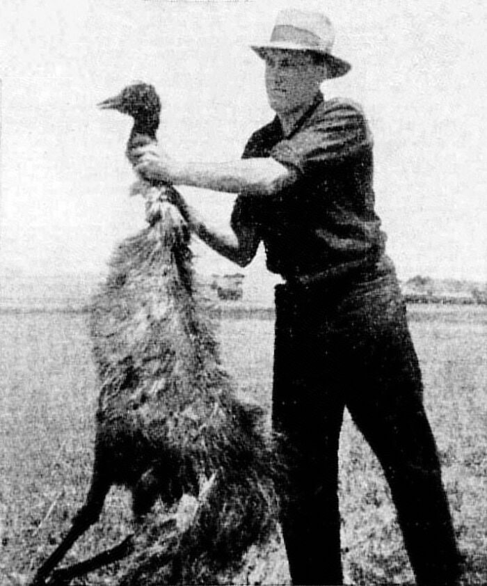 Man holding an emu in open field, illustrating historical facts about grasshoppers and dinosaurs.