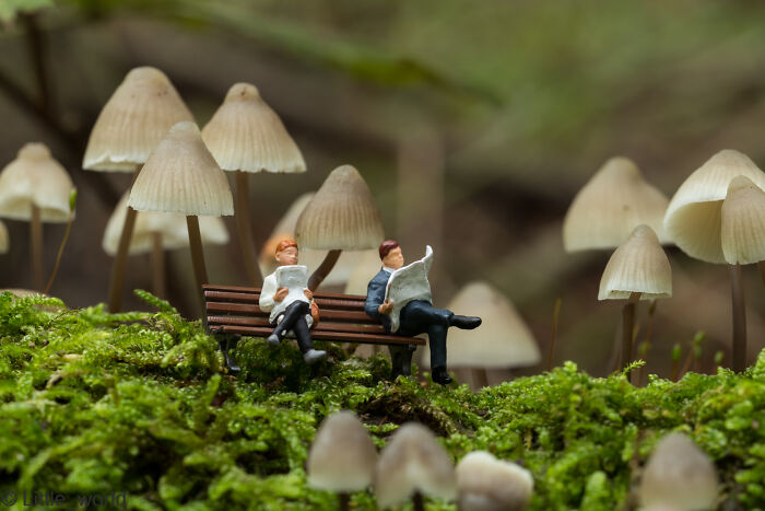 Miniatures on a bench reading newspapers, surrounded by mushrooms in a lush, green setting.