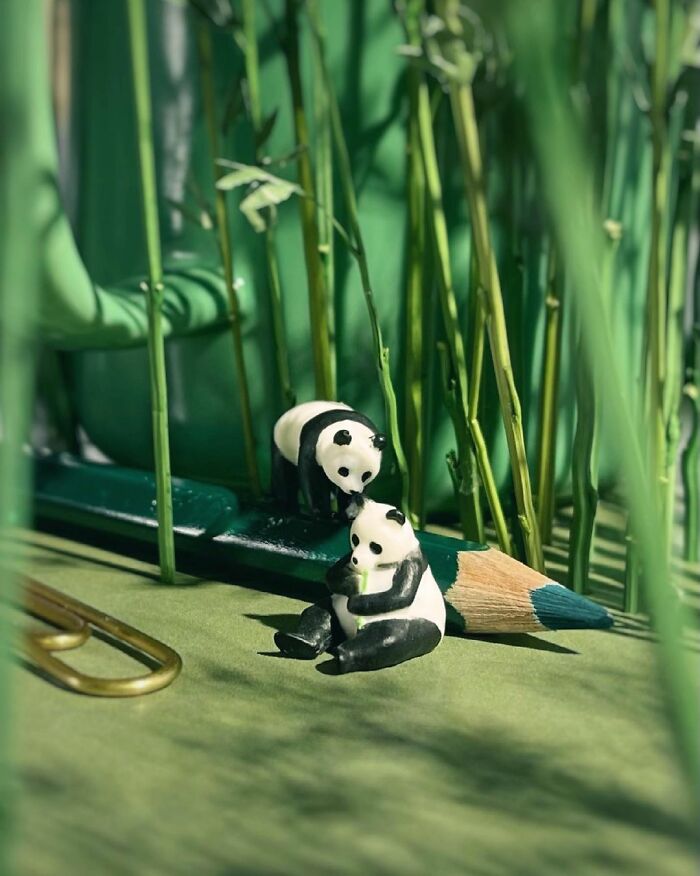 Miniatures of pandas next to a pencil in a bamboo forest setting, illustrating secret worlds.