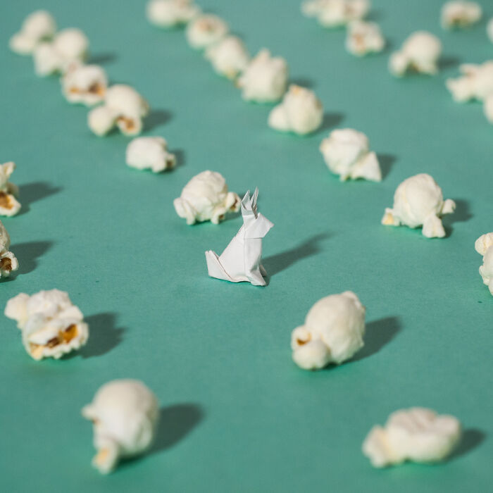 Miniature origami rabbit surrounded by popcorn on a teal background.