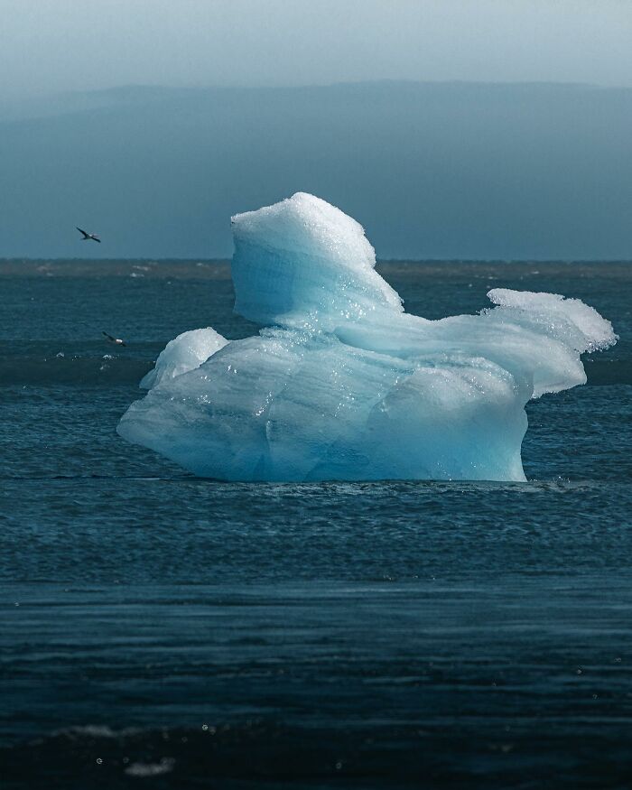Aerial view of a blue iceberg floating in the ocean, captured by Dimitar Karanikolov's drone photography.
