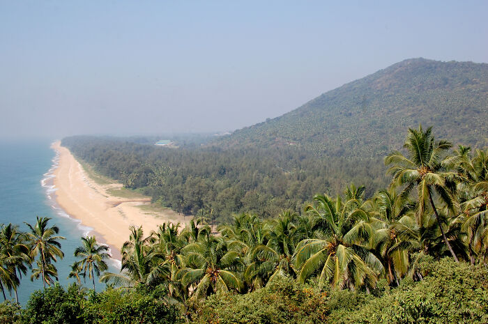 Lush coastal vista with palm trees, a sandy beach, and hills in the background under a clear sky.
