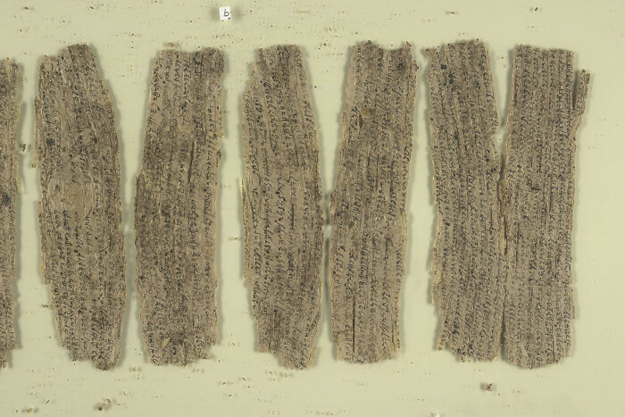 Gandhāran Buddhist Texts