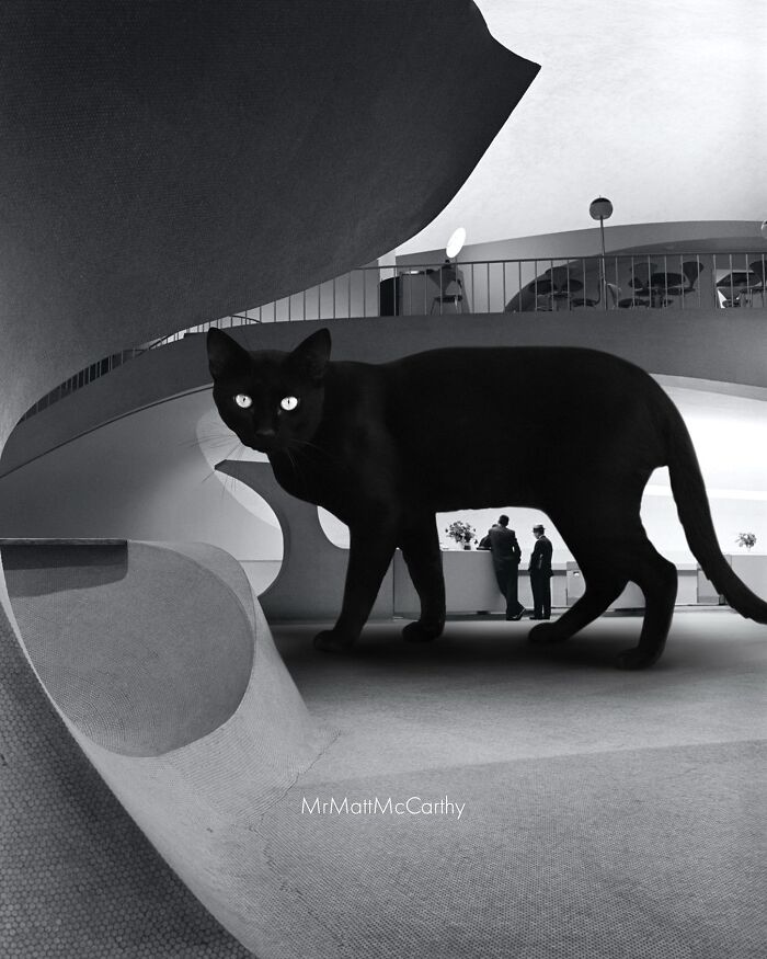 Giant cat in modern architecture setting with people, illustrating an adorably unsettling art piece.