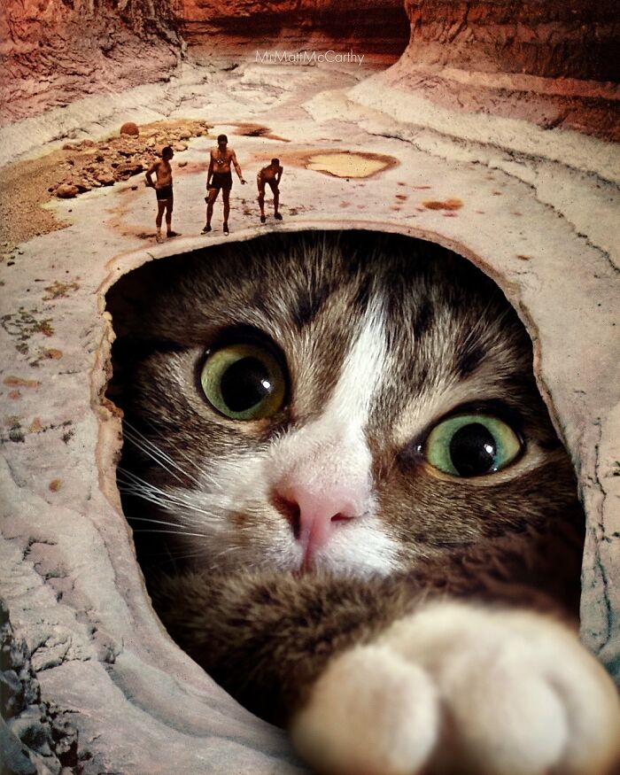 Giant cat peeks through ground in desert, with three tiny humans nearby.
