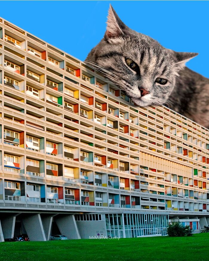 Giant cat resting on a colorful building, illustrating an artist's vision of cats ruling the world.