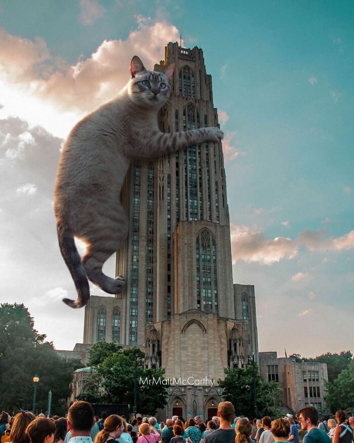 Giant cat climbing a skyscraper as crowds watch below, illustrating the artist's unsettling art.