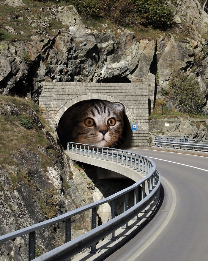 Giant cat art piece with cat face peering out of a tunnel in a mountainous landscape.