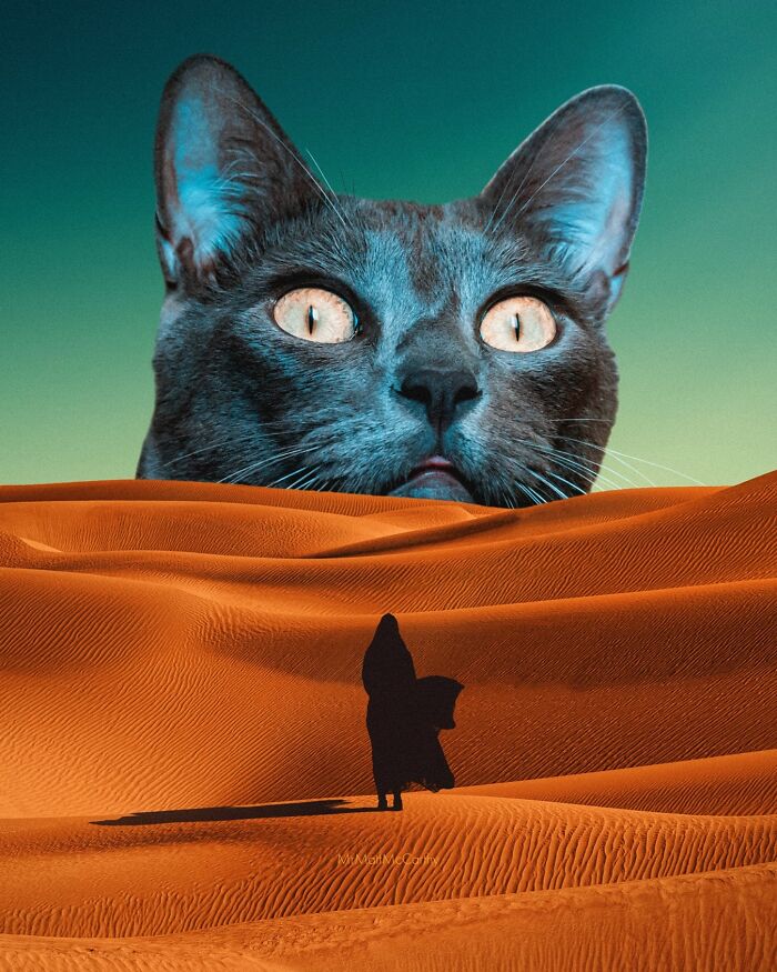 Giant cat overlooking vast desert landscape, illustrating cats ruling the world in surreal art.