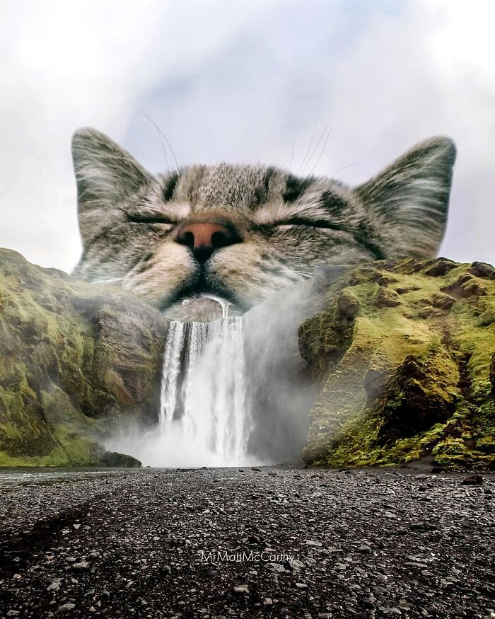 Giant cat head overlooking a waterfall, blending adorably with the landscape.