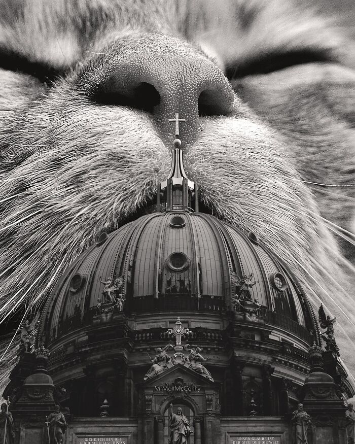 Giant cat behind a cathedral dome, creating an adorably unsettling artwork of feline world dominance.