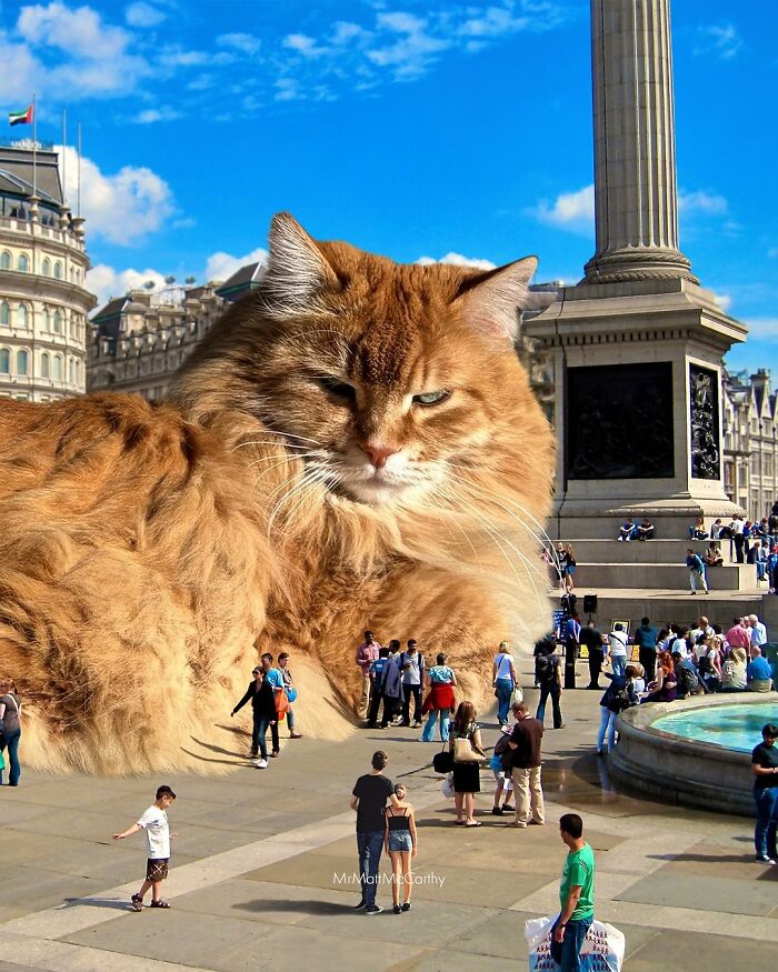 Giant cat lounging in bustling city square, dominating the scene with its massive presence.