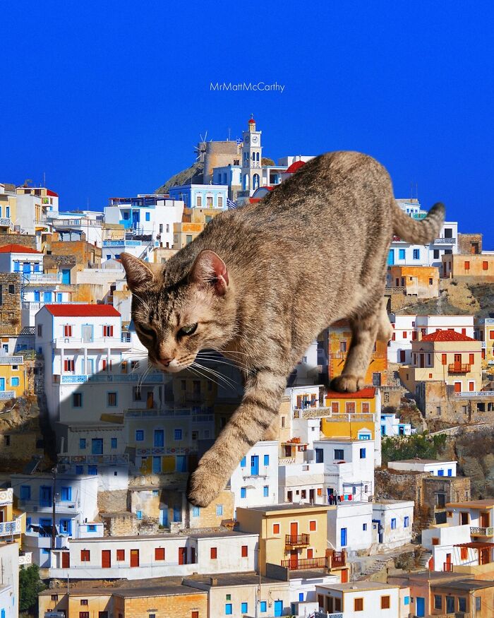 Giant cat walking through colorful cityscape, showcasing adorably unsettling art.