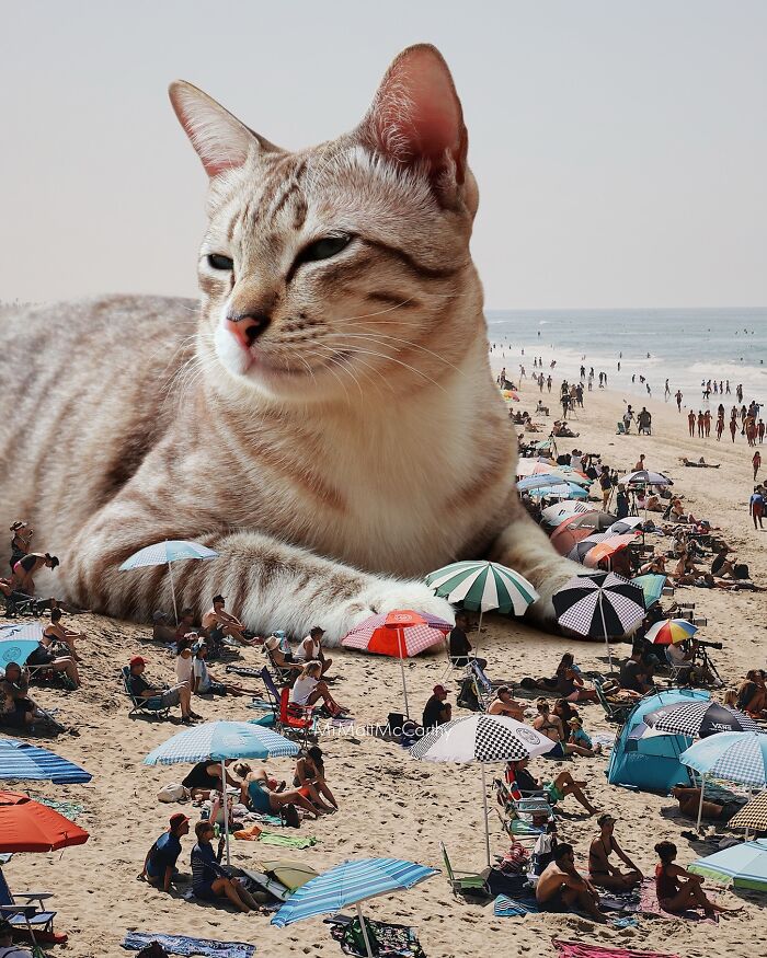 Giant cat lounging on a crowded beach, surrounded by umbrellas and people.